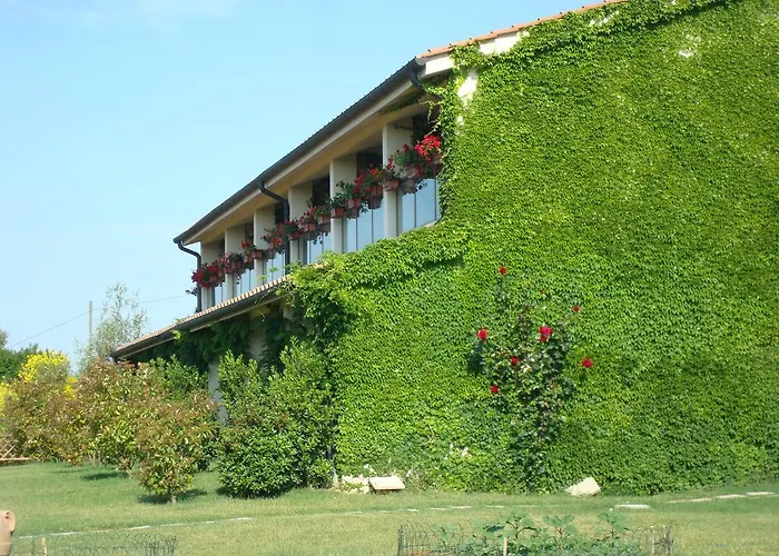 Hotel 4 stelle: Aquaviva Hotel & Spa