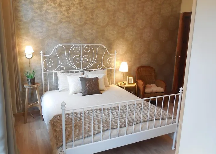 Hôtel accueillant les animaux: The Room Brussels