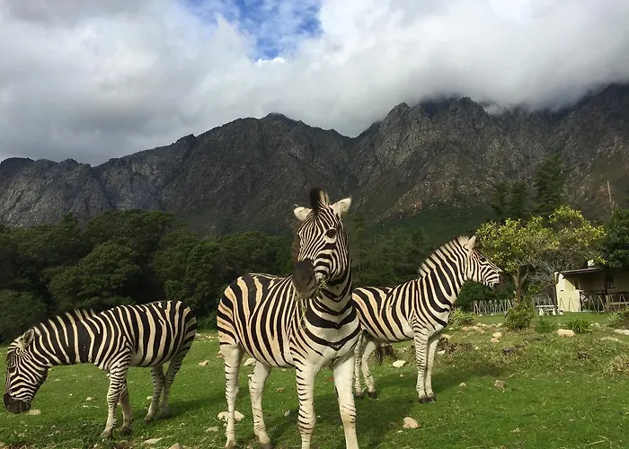 Franschhoek Country Cottages