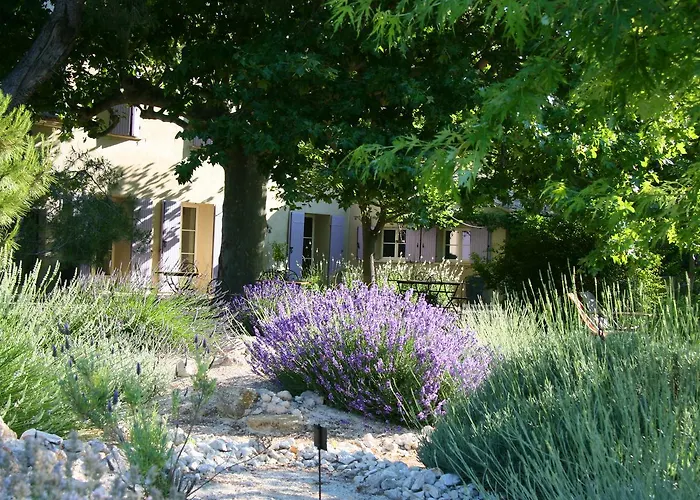 Couleur Lavande
