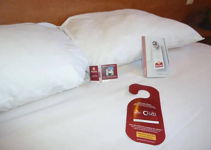 Hôtel accueillant les animaux: Best Hotel Montpellier Millenaire