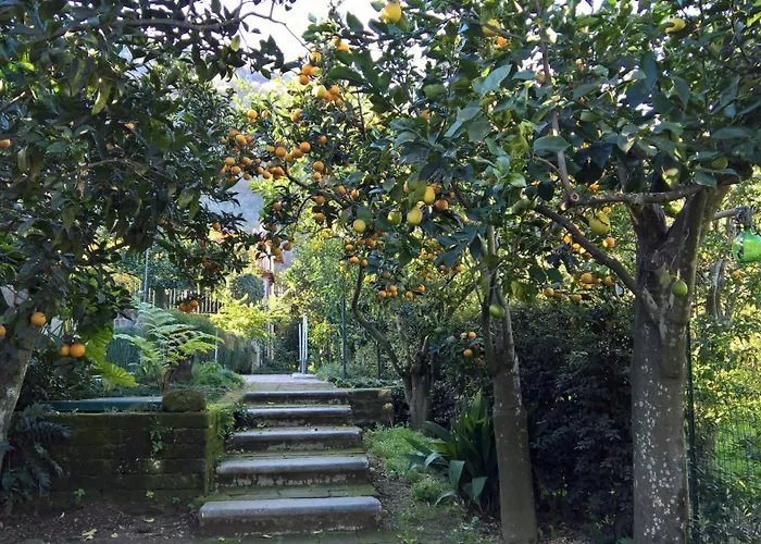 Villa Flavia