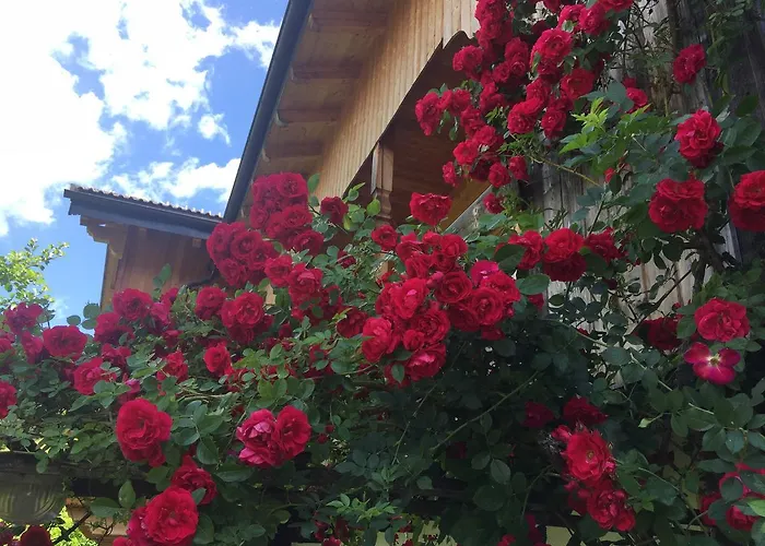 B&B: B&B Ciasa Bruescia