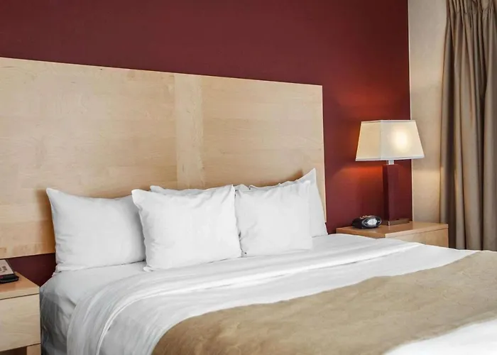  Comfort Suites Michigan Avenue