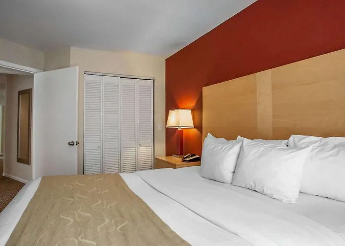  Comfort Suites Michigan Avenue