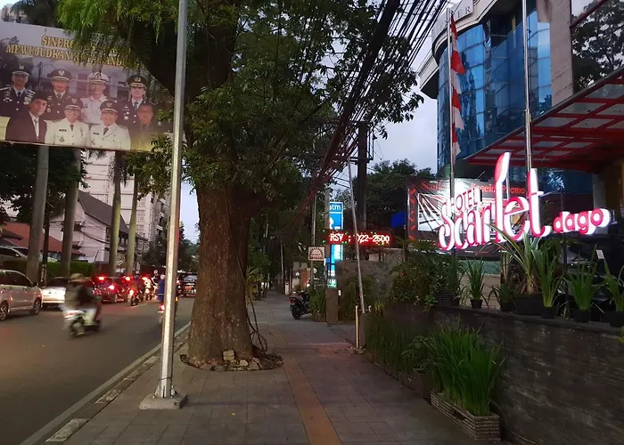 Scarlet Dago Hotel