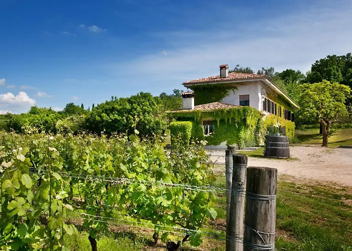 Agriturismo Tra Le Vigne