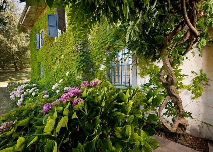 Agriturismo Tra Le Vigne