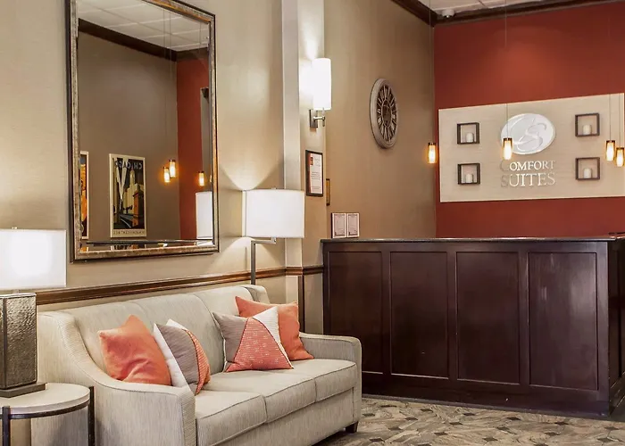  Comfort Suites Michigan Avenue