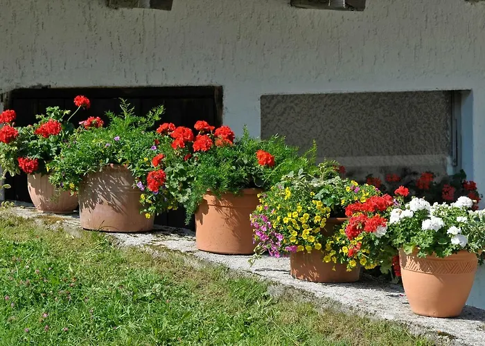  Kerschbaumerhof