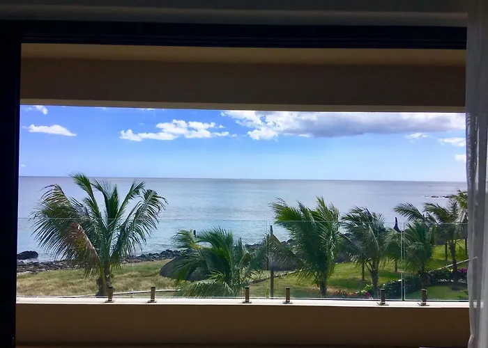 Hôtel accueillant les animaux: Ocean View