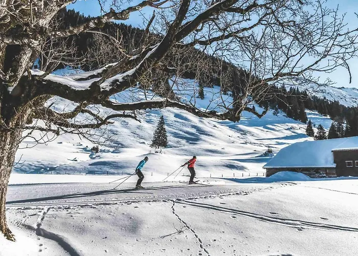 Cheap hotel: Hotel Alpenland